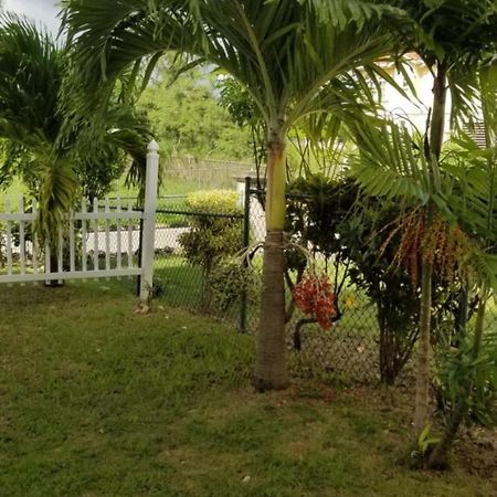 Cynson Villa Holiday Accommodations Christ Church Exteriör bild
