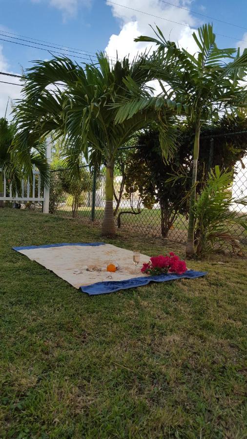 Cynson Villa Holiday Accommodations Christ Church Exteriör bild